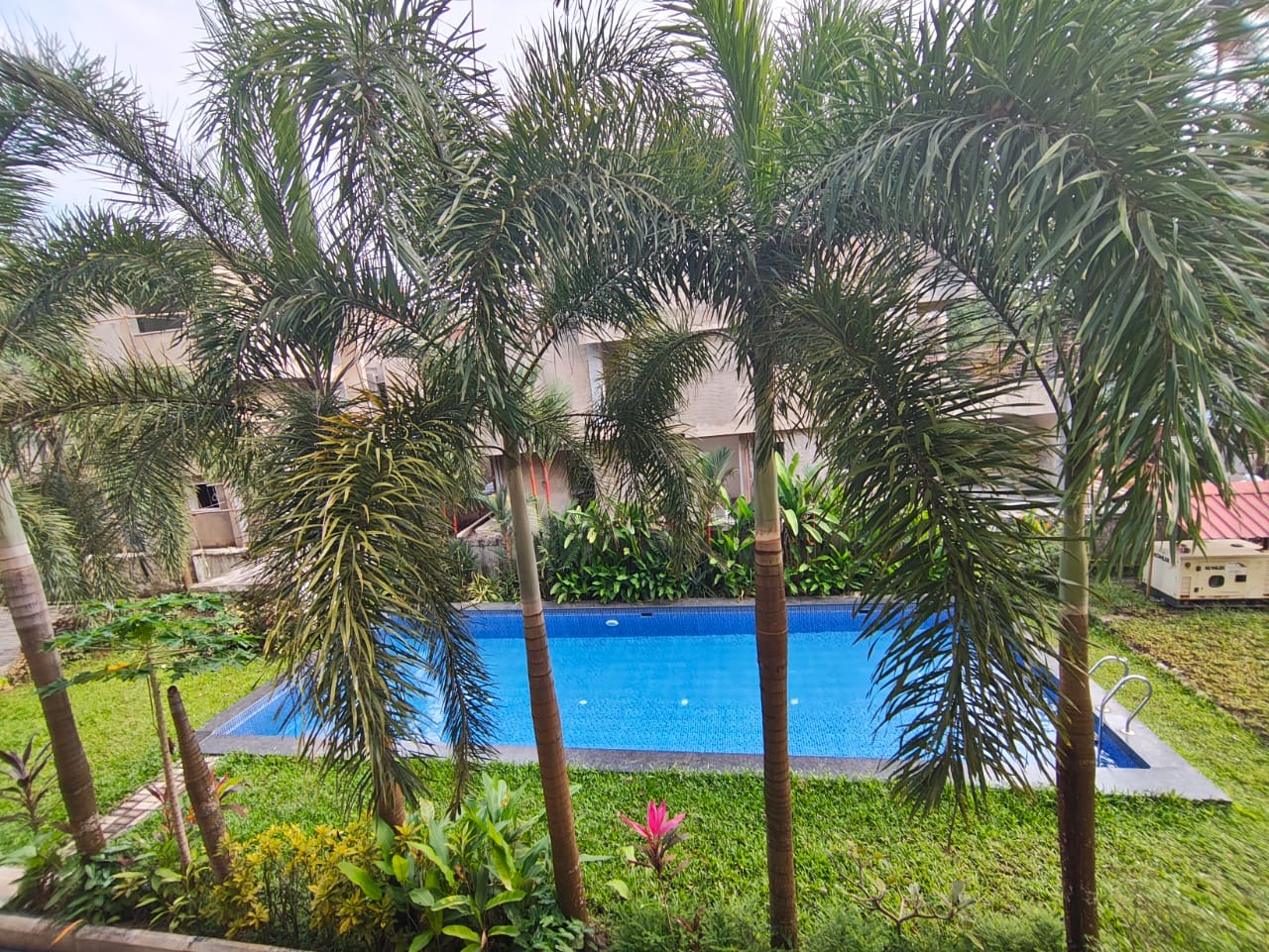Sparkling pool framed by tall coconut palms in a quiet apartment complex
